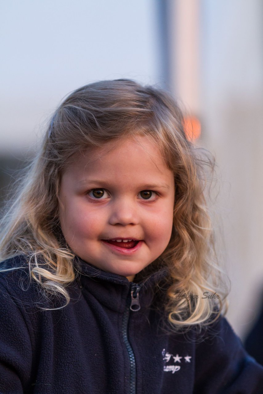 Bild 191 - Wiemersdorfer Maibaum